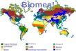 Biomes!. 1. The Freshwater Biome Ponds and Lakes Range in size from square meters to thousands of square kilometers. Limited species diversity because