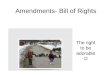 Amendments- Bill of Rights The right to be adorable