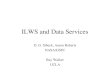 ILWS and Data Services D. G. Sibeck, Aaron Roberts NASA/GSFC Ray Walker UCLA