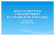 American Red Cross First Aid/CPR/AED For Schools & the Community Lay Responder (non-professional)