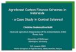 Agroforest Carbon Finance Schemes in Indonesia - a Case Study in Central Sulawesi Christina Seeberg-Elverfeldt Food and Agriculture Organization of the