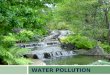 WATER POLLUTION. Water pollution  Water pollution almost always means that some damage has been done to an ocean, river, lake, or other water source