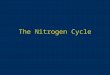The Nitrogen Cycle. Nitrogen Cycle Nitrogen in Atmosphere = 79% Problem is getting N 2 into a form that plants can use. Most N in soil used by plants