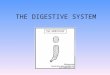 THE DIGESTIVE SYSTEM. Evolution of digestion Amoeba – engulfs food, lysomes Hydra – digestive sack with single opening Earthworm/bird – pharynx, esophagus,