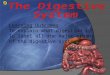 1 of 27 Learning Outcomes To explain what digestion is To label all the major organs of the digestive system