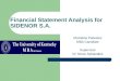 Financial Statement Analysis for SIDENOR S.A. Efstratios Patsatzis MBA Canditate Supervisor Dr. Nicos Sykianakis