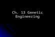 Ch. 13 Genetic Engineering. Ch. 13 Outline 13-1: Changing the Living World 13-1: Changing the Living World Selective Breeding Selective Breeding Increasing