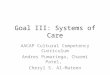 Goal III: Systems of Care AACAP Cultural Competency Curriculum Andres Pumariega, Charmi Patel, Cheryl S. Al-Mateen