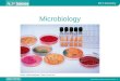 AQA Science © Nelson Thornes Ltd 2006 1 B3 3 Summary Microbiology Photo: Matt Meadows, Peter Arnold Inc