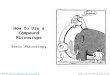 How to Use a Compound Microscope Basic Microscopy Image: The Far Side by Gary LarsonFrom the Virtual Microbiology Classroom on ScienceProfOnline.comVirtual