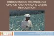 ENDOGENOUS TECHNOLOGY CHOICE AND AFRICA’S GREEN REVOLUTION Donald F Larson, World Bank Innovation and Policy for the Bioeconomy Ravello June 18 2013