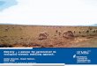 Mobility – a panacea for pastoralism? An ecological-economic modelling approach. Gunnar Dressler, Birgit Mueller, Karin Frank Department of Ecological