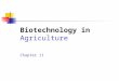 Biotechnology in Agriculture Chapter 11. Learning Outcomes  Describe the role of meristematic tissue in propagating plants by various asexual methods