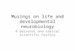 Musings on life and developmental neurobiology A personal and topical scientific history