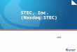 STEC, Inc. (Nasdaq:STEC) 2008. 2 Company Highlights ●Leading provider of customized Flash memory and DRAM solutions ●Proprietary technologies focused
