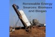 Renewable Energy Sources: Biomass and Biogas What is BIOMASS? Organic matter produced by photosynthetic producers Total dry weight of all living organisms