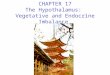 CHAPTER 17 The Hypothalamus: Vegetative and Endocrine Imbalance