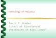 1 Pathology of Malaria David P. Humber School of Biosciences University of East London