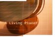 A Living Planet. The Earth Inside and Out Continents –North America –South America –Europe –Asia –Africa –Antarctica –Australia