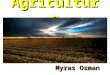 Agriculture Myras Osman. Classification of Economic Activities Primary or Extractive Activities Hunting & Gathering –Farming –Livestock herding –Lumbering
