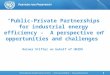 “Public-Private Partnerships for industrial energy efficiency - A perspective on opportunities and challenges” Rainer Stifter on behalf of UNIDO 1