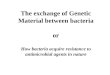 The exchange of Genetic Material between bacteria or How bacteria acquire resistance to antimicrobial agents in nature