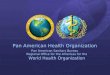 PAHO 2001 1 Pan American Health Organization Pan American Sanitary Bureau Regional Office for the Americas for the World Health Organization