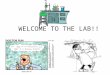 WELCOME TO THE LAB!!. INFORMATION Go over Syllabus (brief) Go over MICROWORLDS (brief) – Two entries due by end of 2 nd lab (week 2). – Two entries due