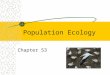 Population Ecology Chapter 53. turtles Population Groups of individual of the same species that live in the same place Characteristics of populations