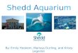 Shedd Aquarium By: Emily Hookom, Marissa Durling, and Kristy Legerski