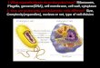 1.What organelles/parts do prokaryotes have? Ribosomes, Flagella, genome(DNA), cell membrane, cell wall, cytoplasm 2. How are prokaryotic and eukaryotic