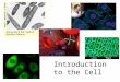Introduction to the Cell. 1.All living things are composed of 1 or more cells. 2. In organisms, cells are the basic unit of structure & function 3. Cells