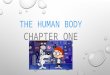 THE HUMAN BODY CHAPTER ONE. BODY ORGANIZATION CELL CELL MEMBRANE NUCLEUS CYTOPLASM TISSUE MUSCLE TISSUE NERVOUS TISSUE CONNECTIVE TISSUE EPITHELIAL TISSUE