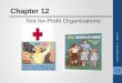 Chapter 12 Not-for-Profit Organizations Chapter 12 Granof & Khumawala -6e 1