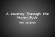 A Journey Through the Human Body WHS Science Nutrients Biology: The Everyday Experience. Glencoe, p. 184