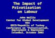 The Impact of Privatisation on Labour John Nellis Center for Global Development USA OECD/Republic of Turkey Conference on “Privatisation, Employment &