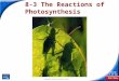 End Show Slide 1 of 51 Copyright Pearson Prentice Hall 8-3 The Reactions of Photosynthesis