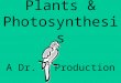Plants & Photosynthesis A Dr. Production. Why Study Plants? Oxygen  can you breathe? Ozone  do you tan, burn or melanoma?burn Carbohydrates  do you
