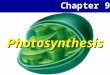 Chapter 9 Photosynthesis. This is CHAPTER 9 in your text…….ignore the “chapter 7” title at the top of each powerpoint page. Chapter 7 2