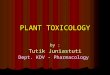 PLANT TOXICOLOGY by : Tutik Juniastuti Dept. KDV - Pharmacology