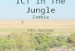 ICT in The Jungle Zambia John Honings 05 november 2009