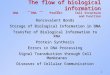 1 The flow of biological information DNA RNA Protein Cell Structure and Function Noncovalent Bonds Storage of Biological Information in DNA Transfer of
