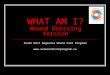 WHAT AM I? Wound Dressing Version South West Regional Wound Care Program