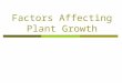 Factors Affecting Plant Growth. External Factors - Light  Terrestrial plants use pigments to capture light Chlorophyll  Absorbs light in the red and