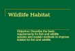 Wildlife Habitat Objective: Describe the basic requirements for fish and wildlife species and explain methods to improve habitat for fish and wildlife