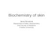 Biochemistry of skin Jana Novotná Department of Med. Biochemistry 2nd Faculty of Medicine Charles University