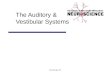Psychology 355 The Auditory & Vestibular Systems