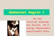 Abdominal Region I PA 544 Clinical Anatomy Tony Serino, Ph.D. Biology Department Misericordia Univ