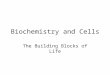 Biochemistry and Cells The Building Blocks of Life
