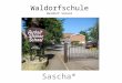 Waldorfschule Waldorf School Sascha*. In 1919 he founded the 1 st Waldorf School Born on Feb 25, 1861 German-Austrian origin Philosopher and scientist